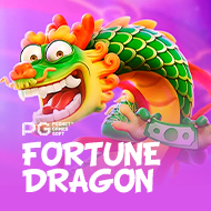 Fortune dragon